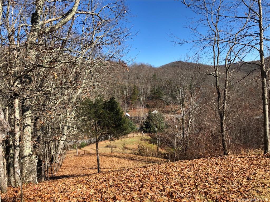 Tract A Tract A Canada Road Tuckasegee, NC 28783 - Photo 2 of 12