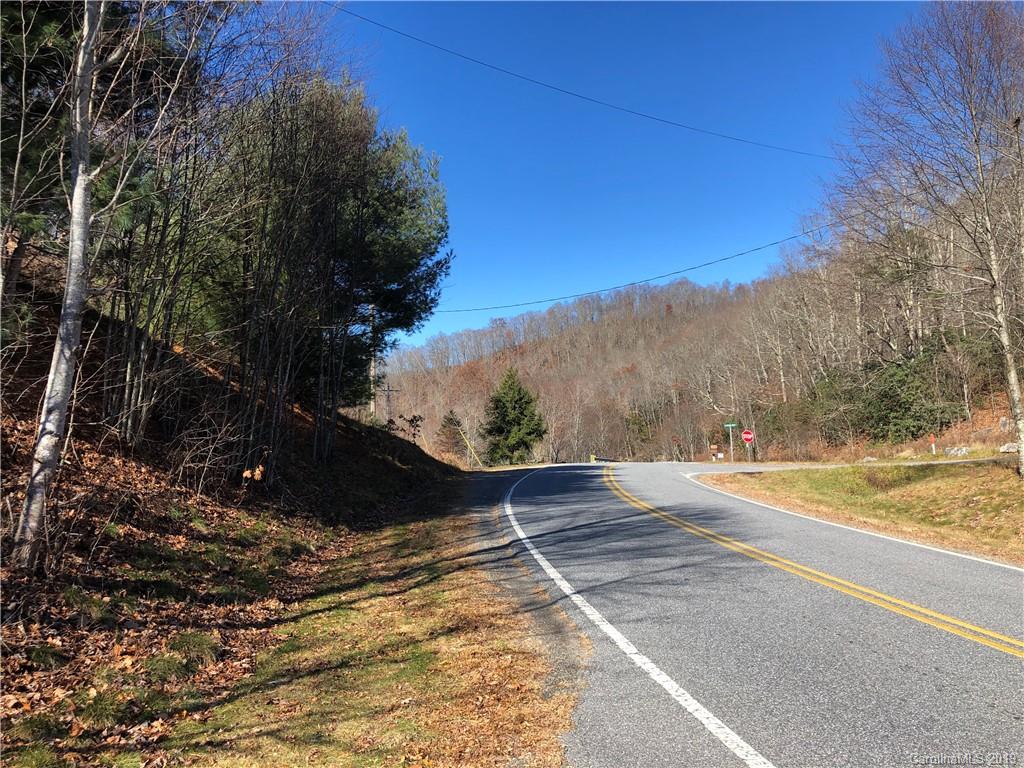 Tract A Tract A Canada Road Tuckasegee, NC 28783 - Photo 12 of 12