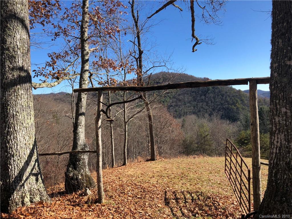 Tract A Tract A Canada Road Tuckasegee, NC 28783 - Photo 3 of 12