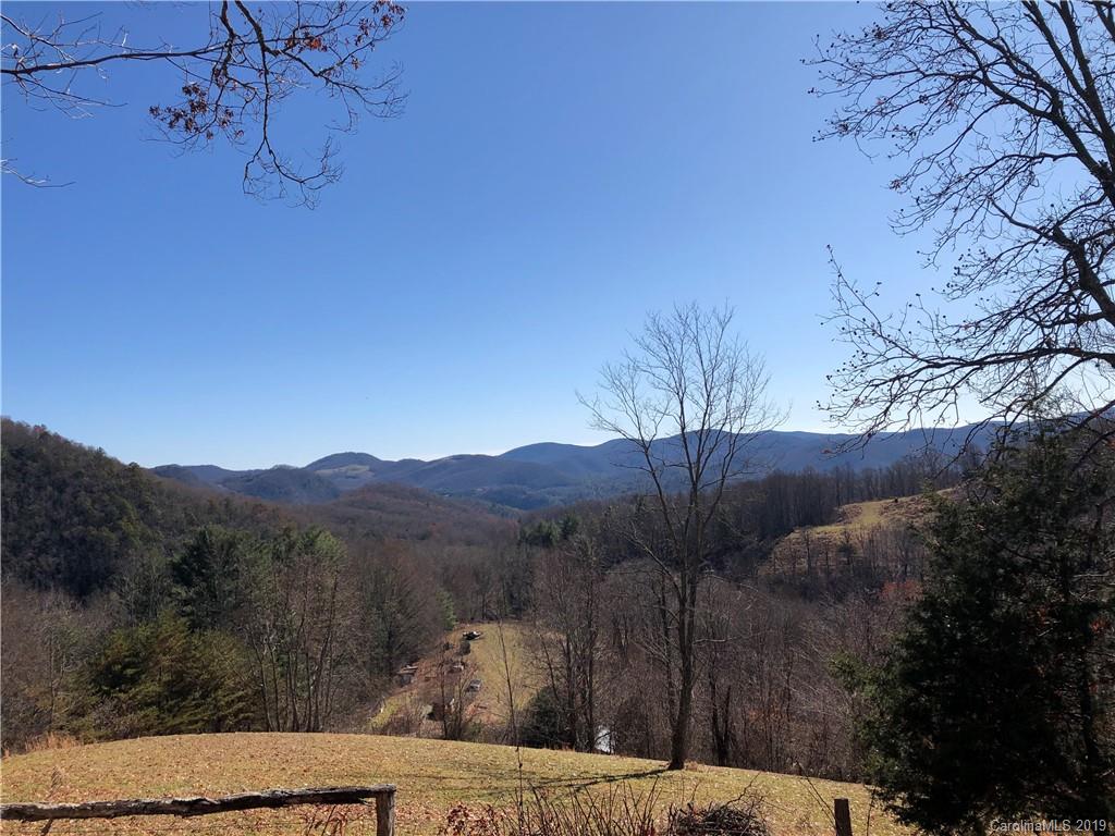 Tract A Tract A Canada Road Tuckasegee, NC 28783 - Photo 5 of 12