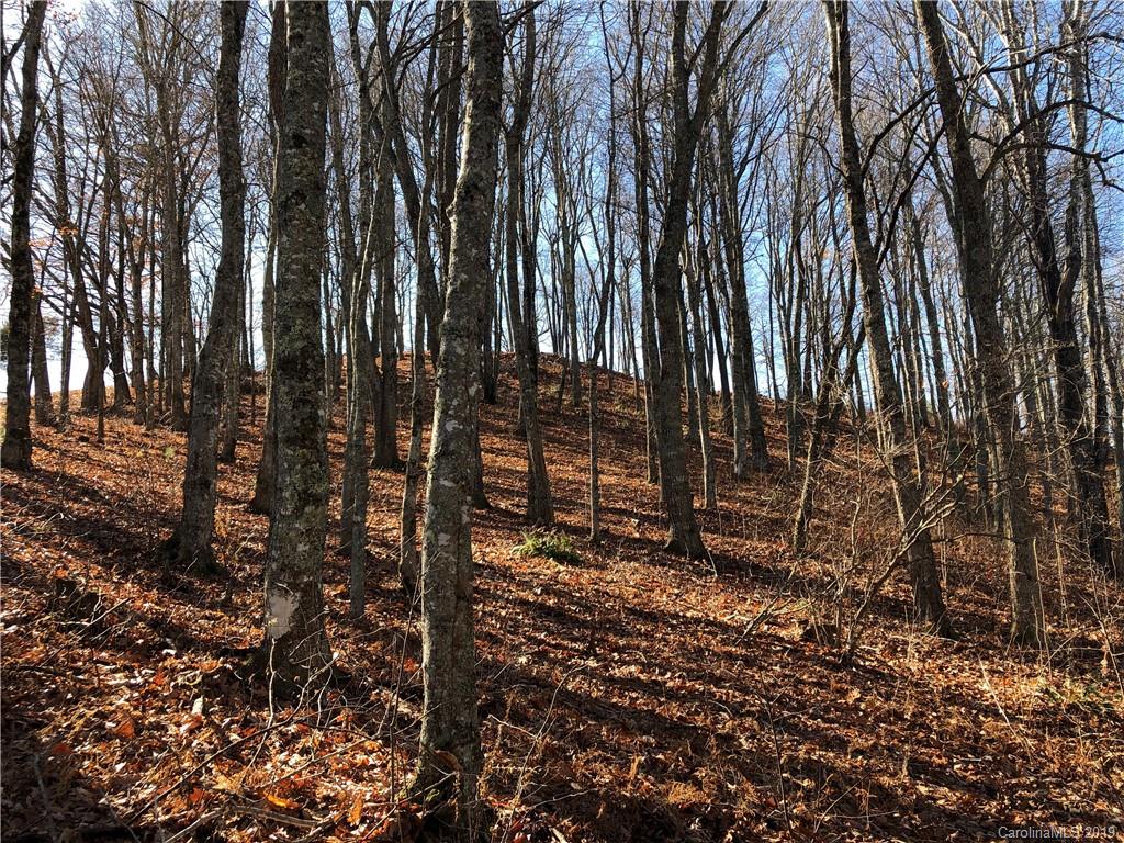 Tract A Tract A Canada Road Tuckasegee, NC 28783 - Photo 6 of 12