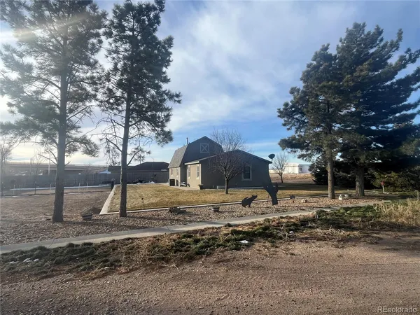a view of a yard with a tree