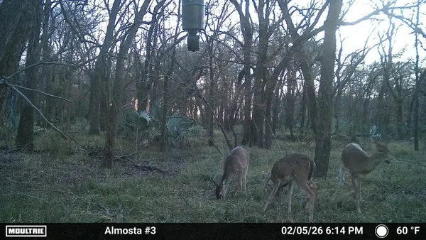 $849,900 | 15239 Battle Road, Beasley, TX 77417