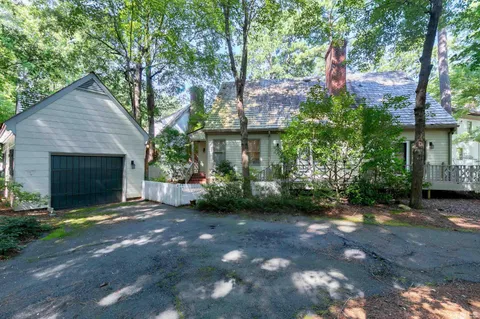 a view of a pathway with plants and large trees