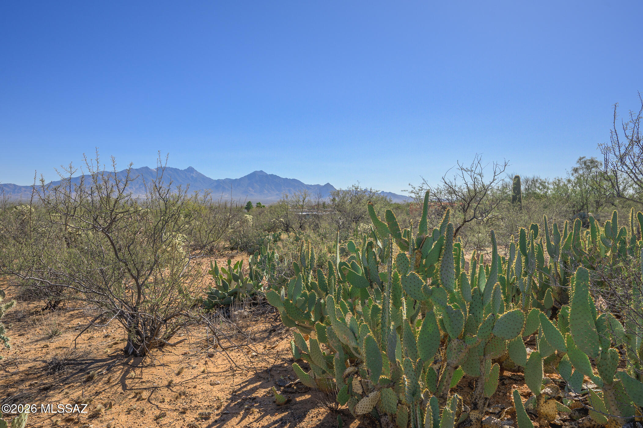711 West Continental Road, Unit 98 Green Valley, AZ 85622 - Photo 7 of 24