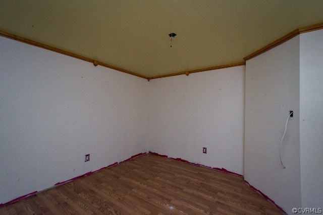 20206 River Road Sutherland, VA 23885 - Photo 20 of 31 Gallery Image 20