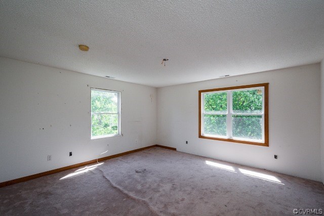 20206 River Road Sutherland, VA 23885 - Photo 29 of 31 Gallery Image 29