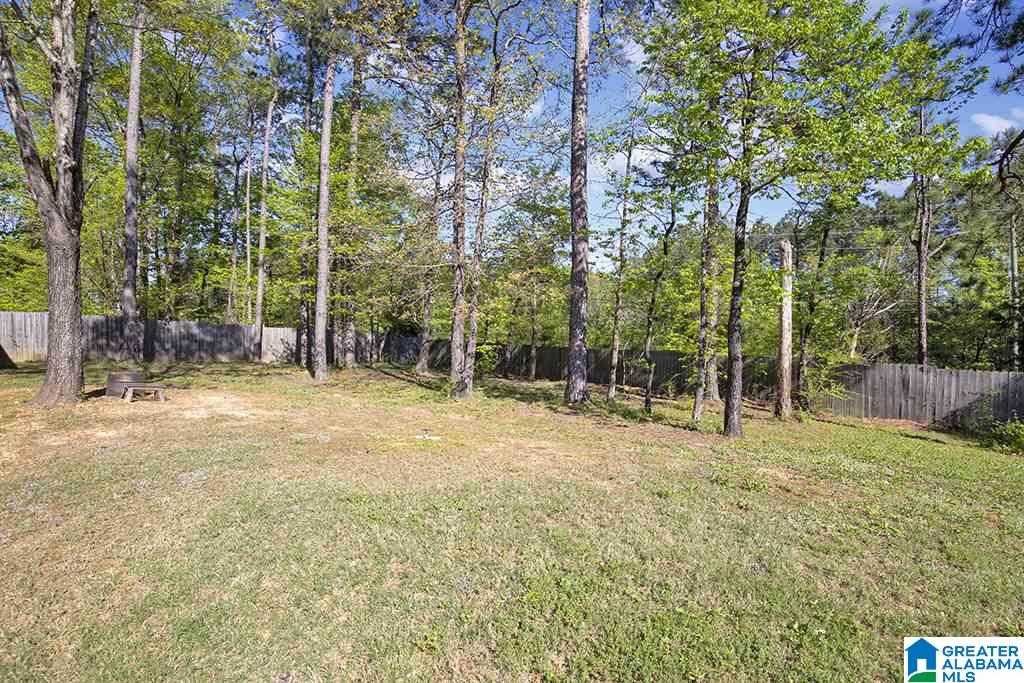 228 Grande View Circle Alabaster, AL 35114 - Photo 31 of 31