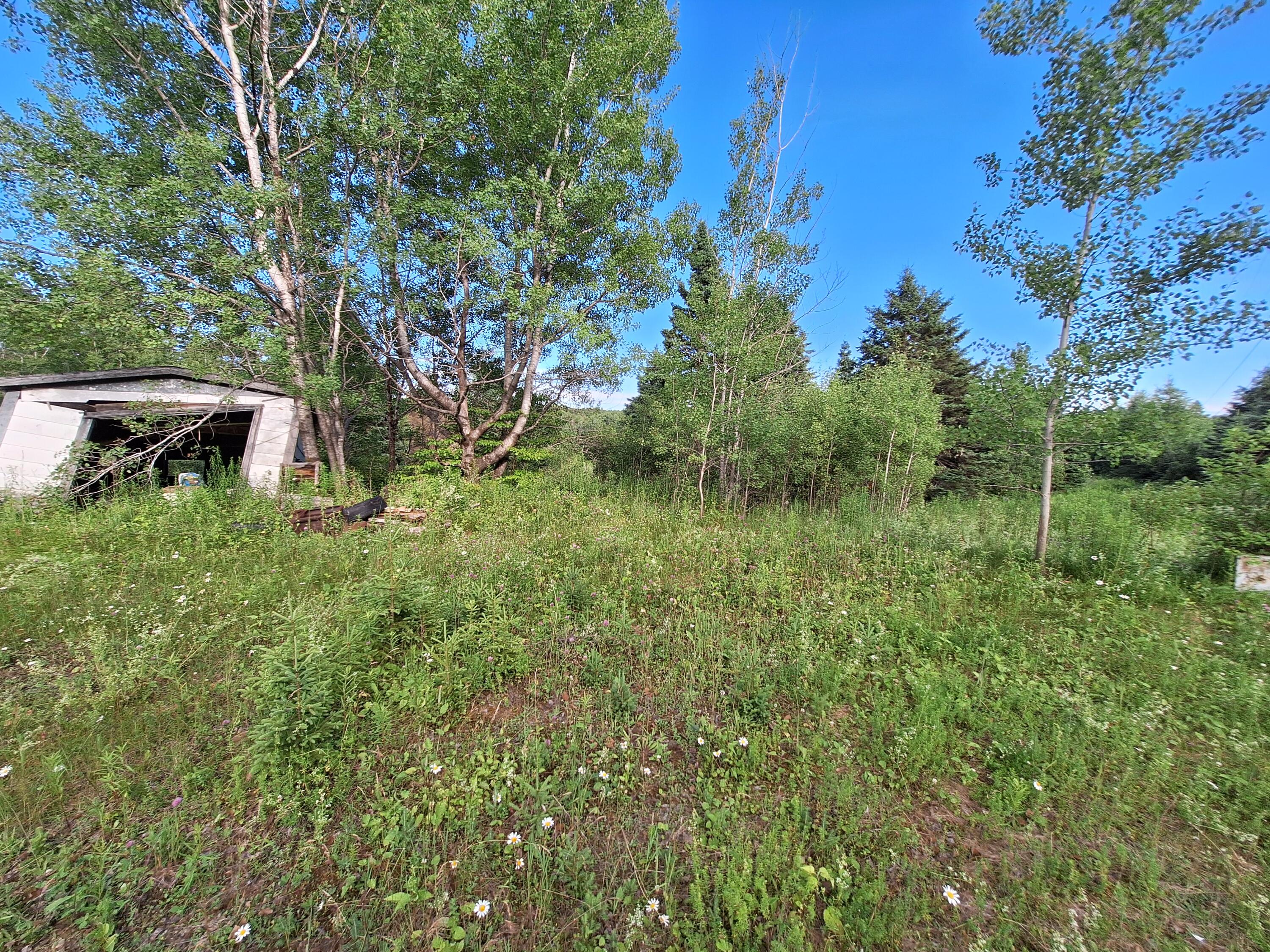 296 West Ridge Road Easton, ME 04740 - Photo 5 of 10