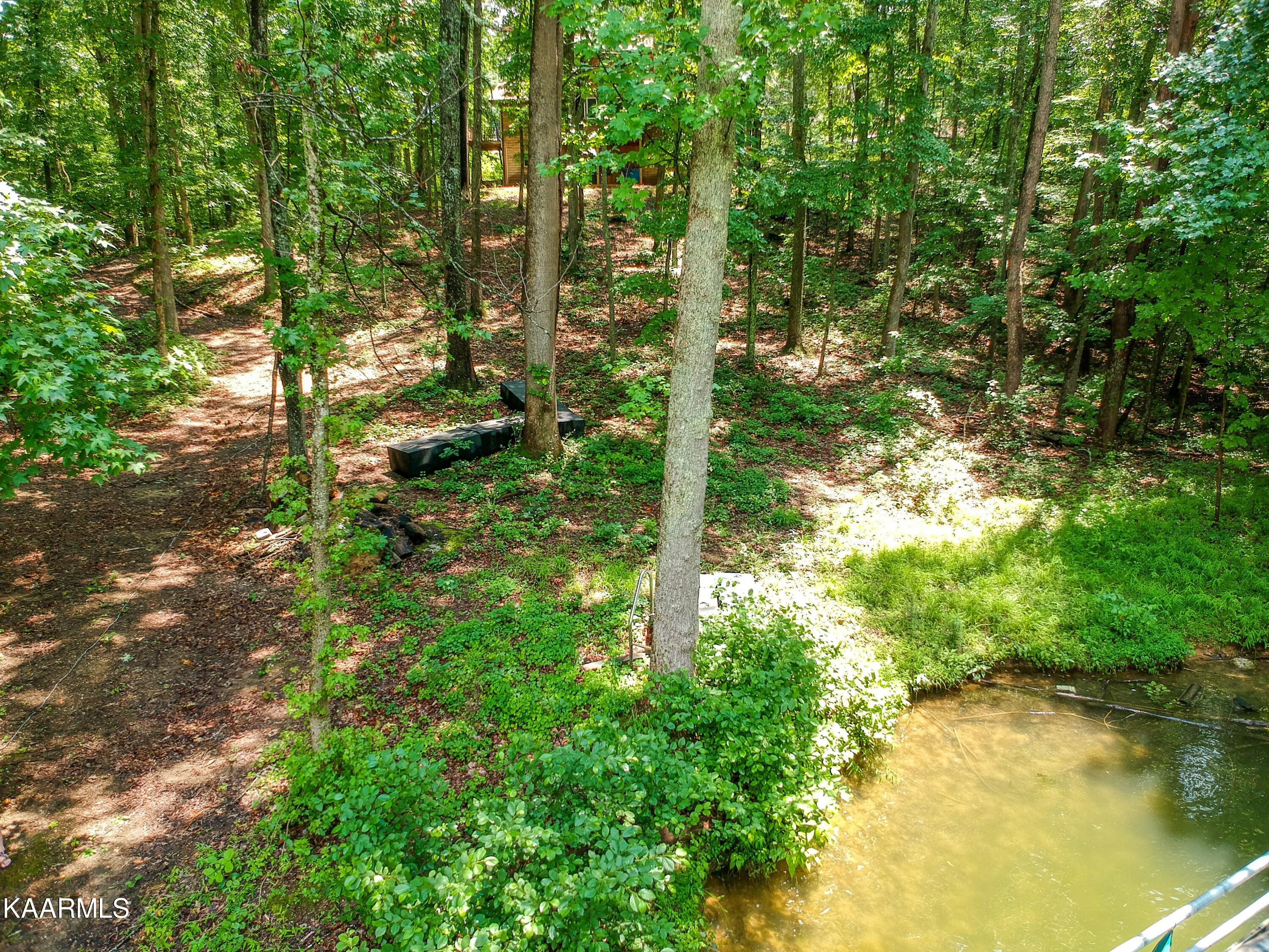 839 Ewing Road Spring City, TN 37381 - Photo 11 of 54 Ewing-76