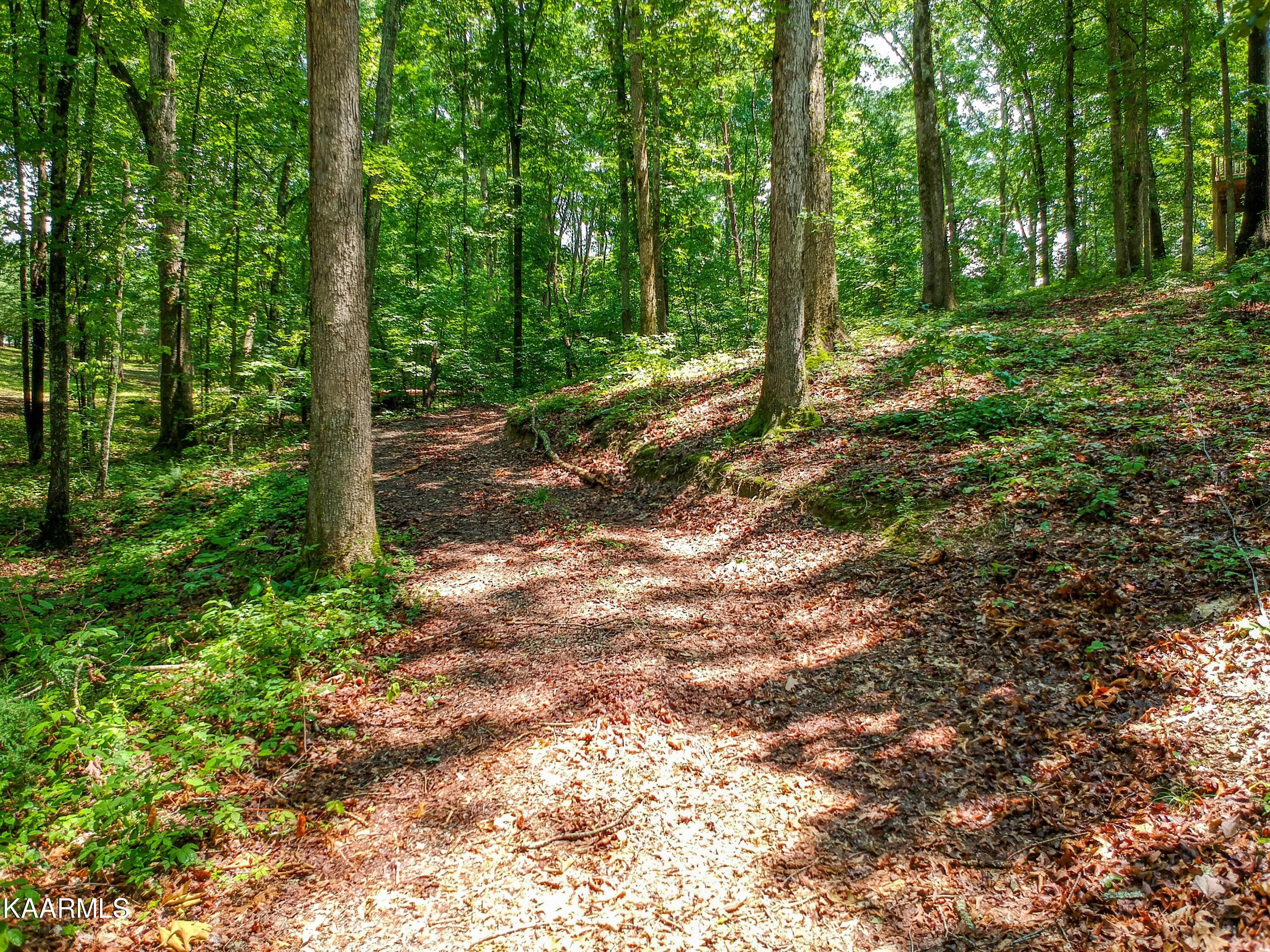 839 Ewing Road Spring City, TN 37381 - Photo 15 of 54 Ewing-83