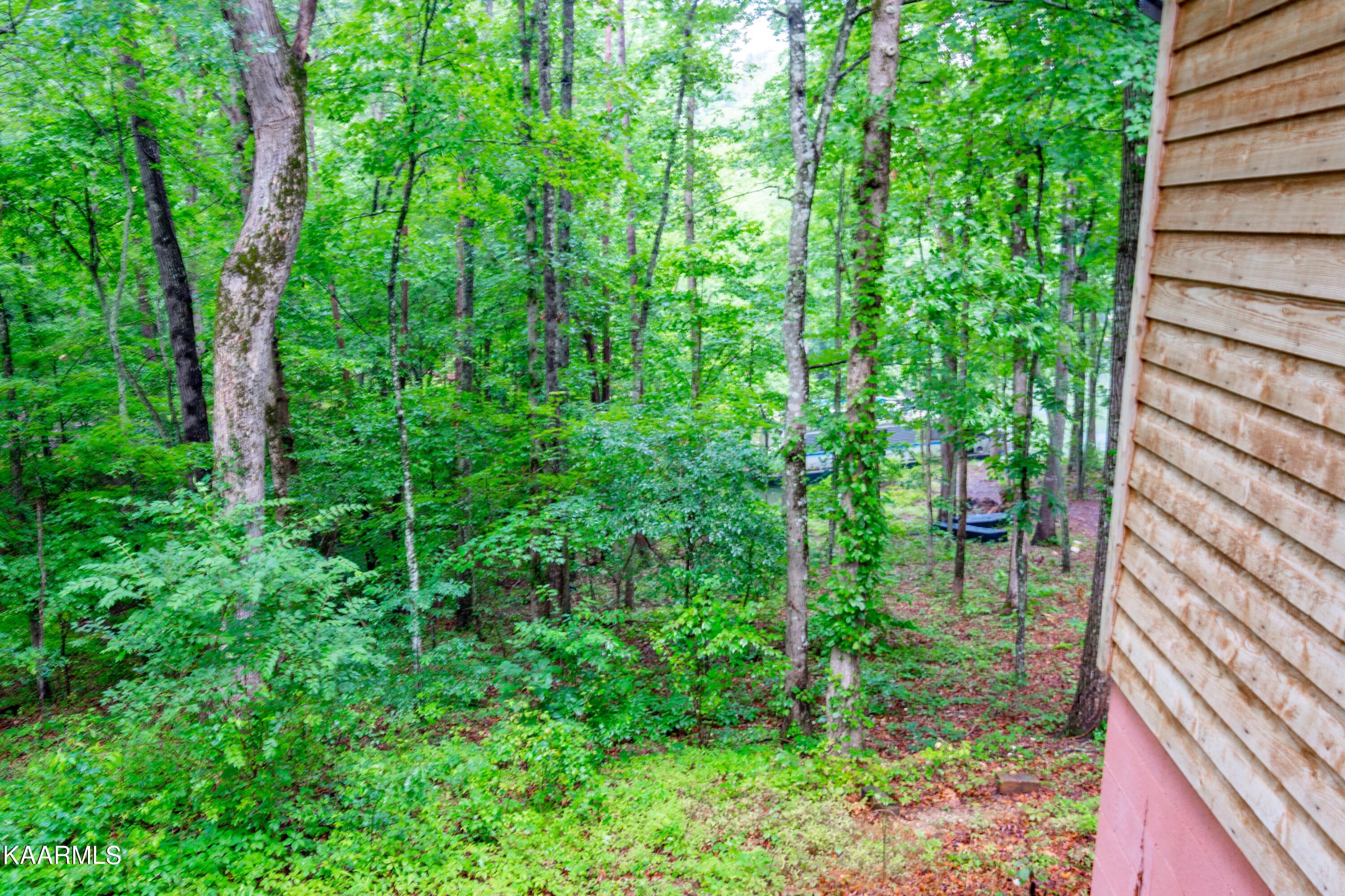 839 Ewing Road Spring City, TN 37381 - Photo 50 of 54 Ewing-37