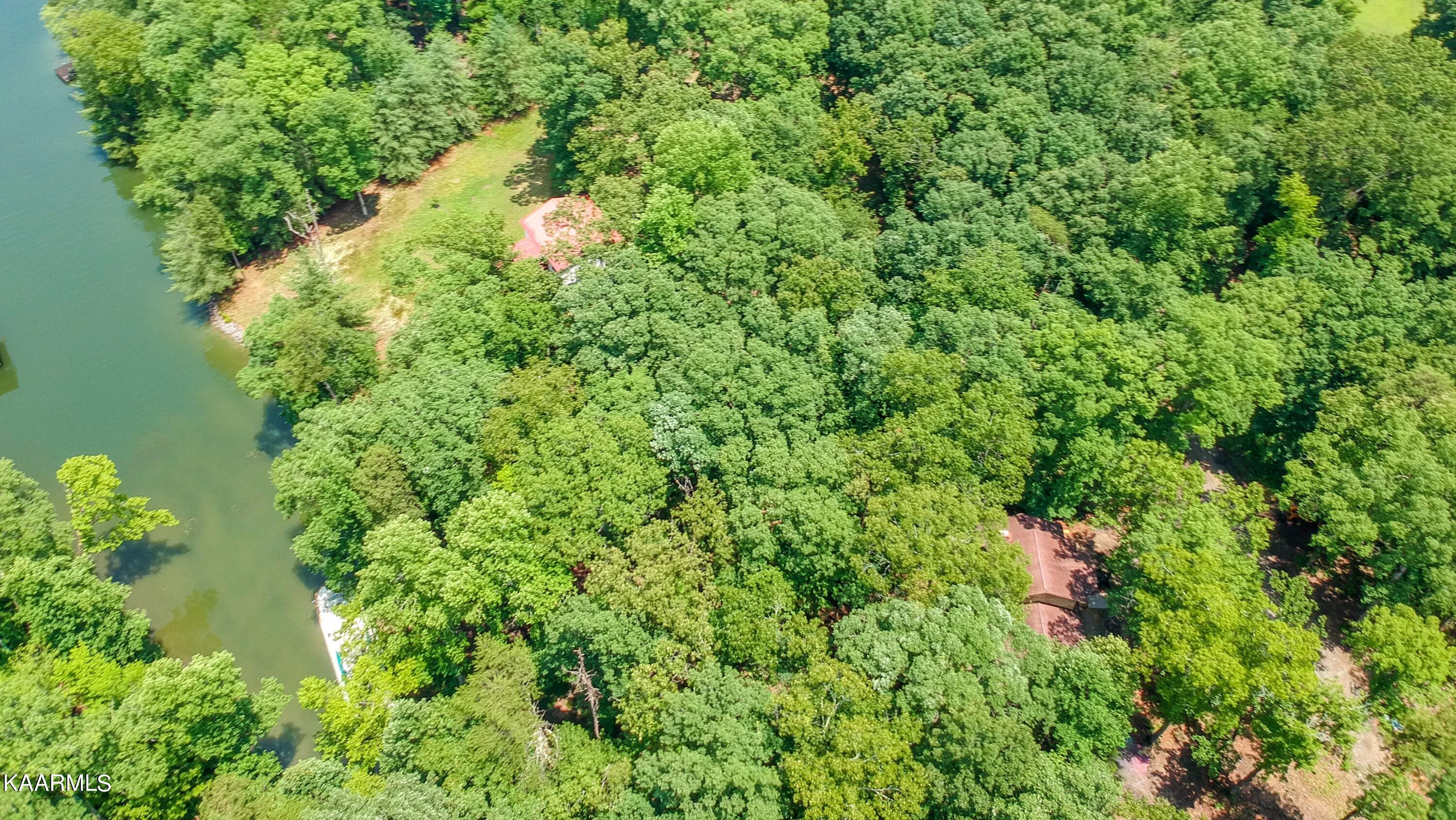 839 Ewing Road Spring City, TN 37381 - Photo 53 of 54 Ewing-70