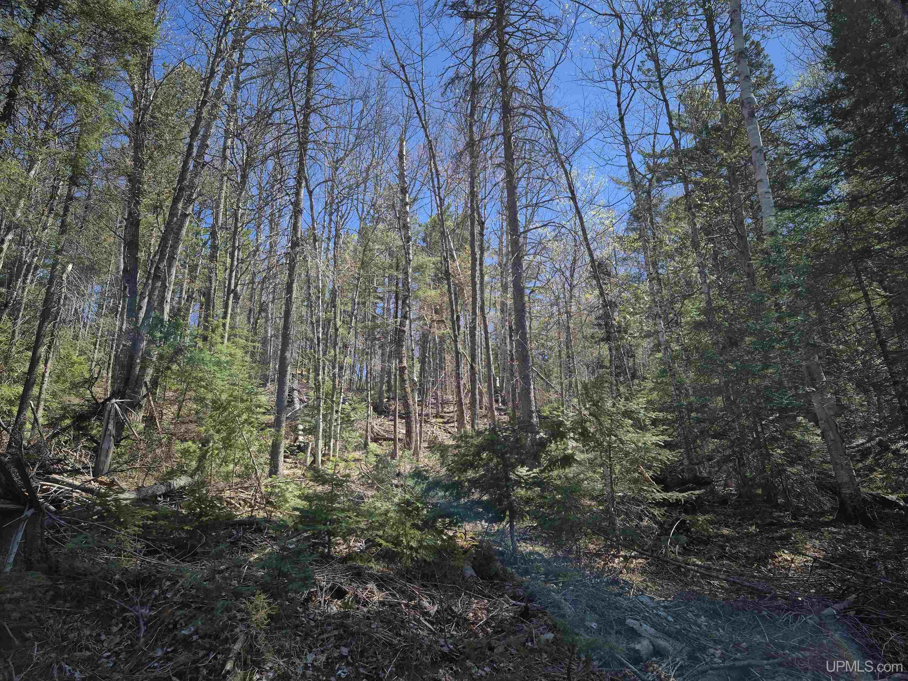 46 County Aat Road Ishpeming, MI 49849 - Photo 30 of 44