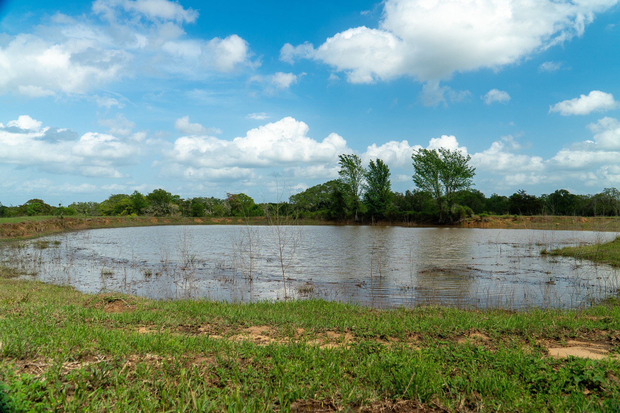2745 Holub Road Schulenburg, TX 78956 - Photo 11 of 40 a view of lake with green space