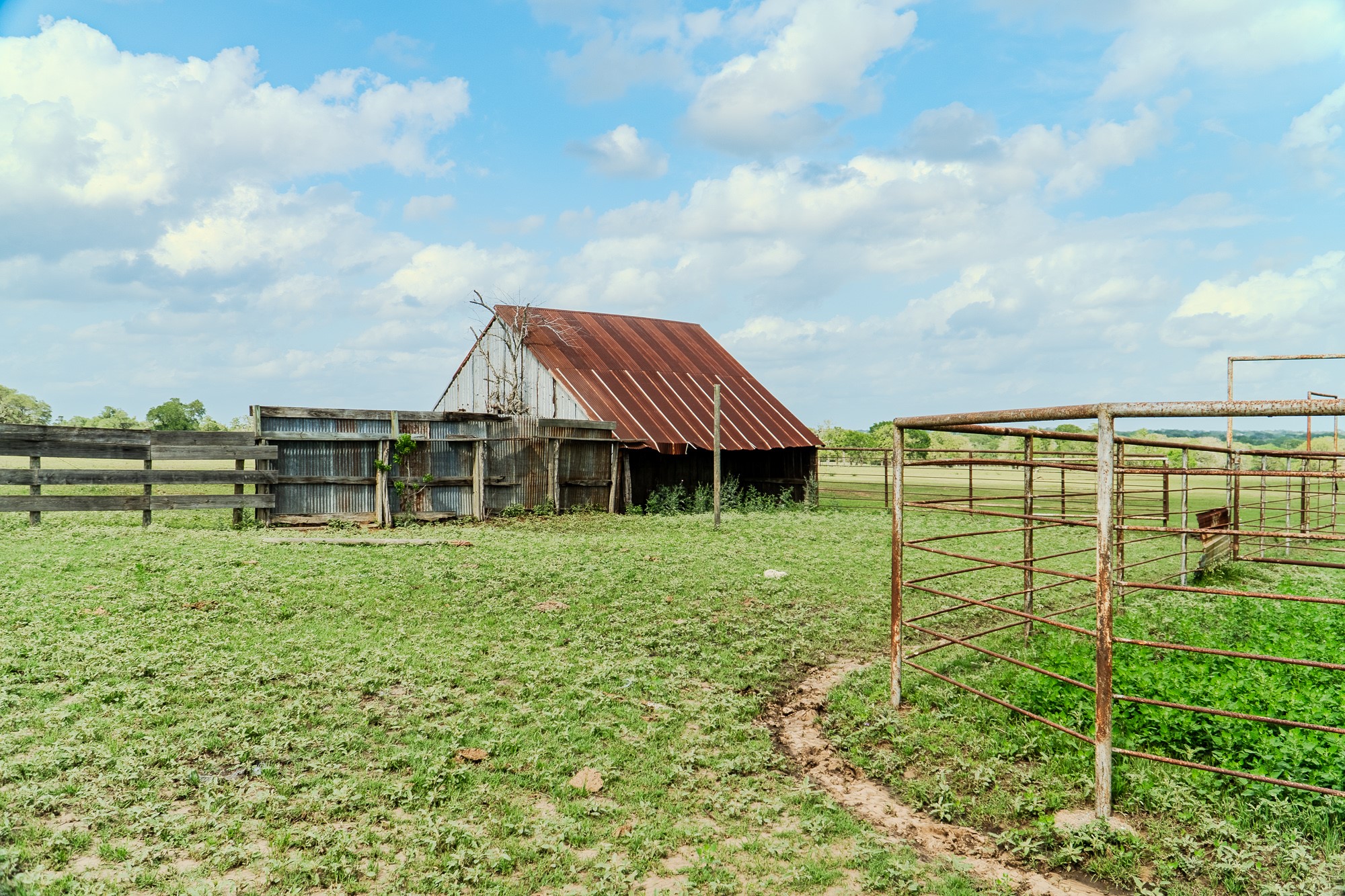 2745 Holub Road Schulenburg, TX 78956 - Photo 13 of 40 a view of a house with a yard