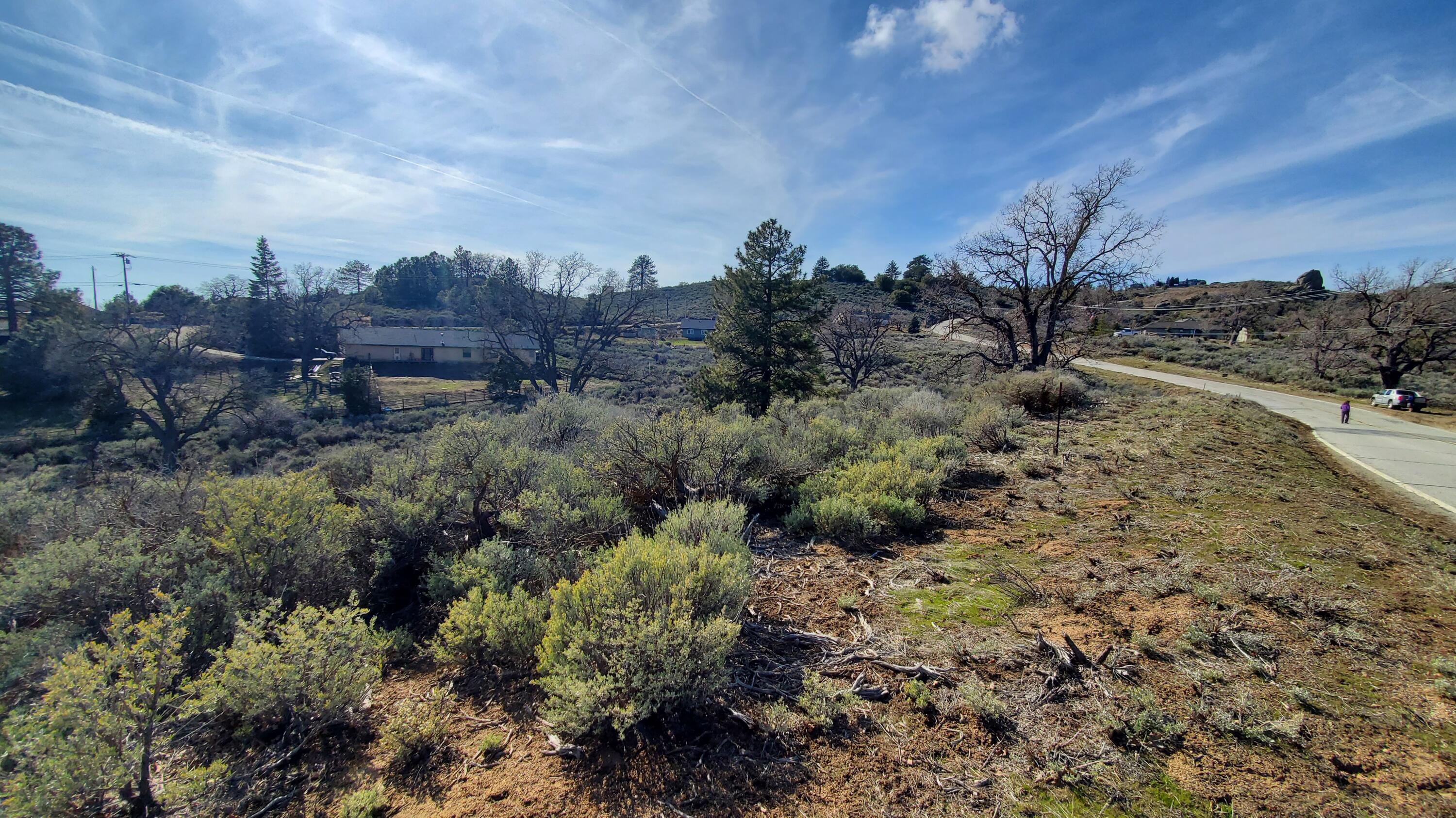 25041 Jacaranda Drive Tehachapi, CA 93561 - Photo 13 of 30 20230405_162141