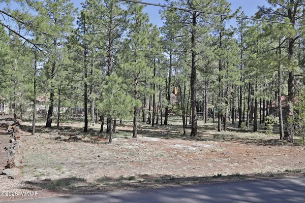 a backyard of a house with lots of trees