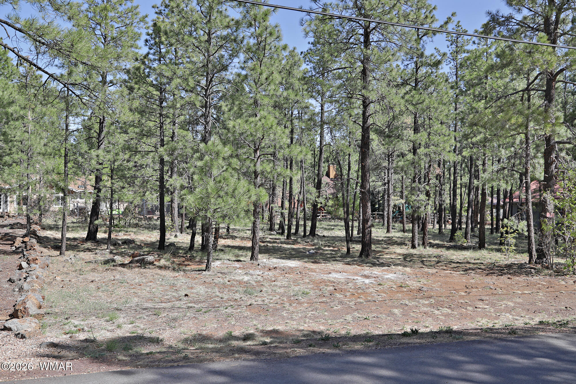 a backyard of a house with lots of trees