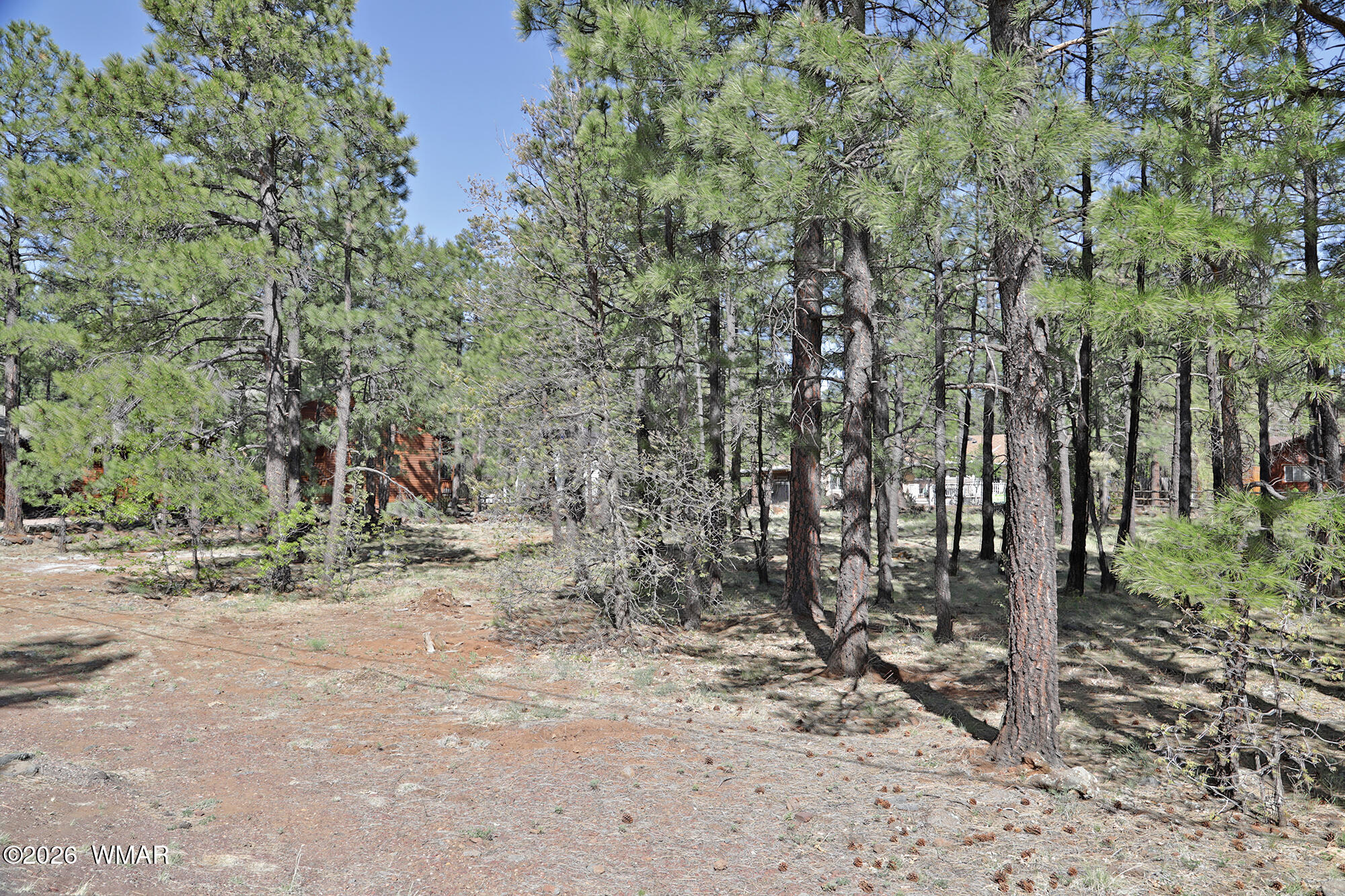 7466 Buck Springs Road Pinetop, AZ 85935 - Photo 2 of 6 a view of a forest with trees