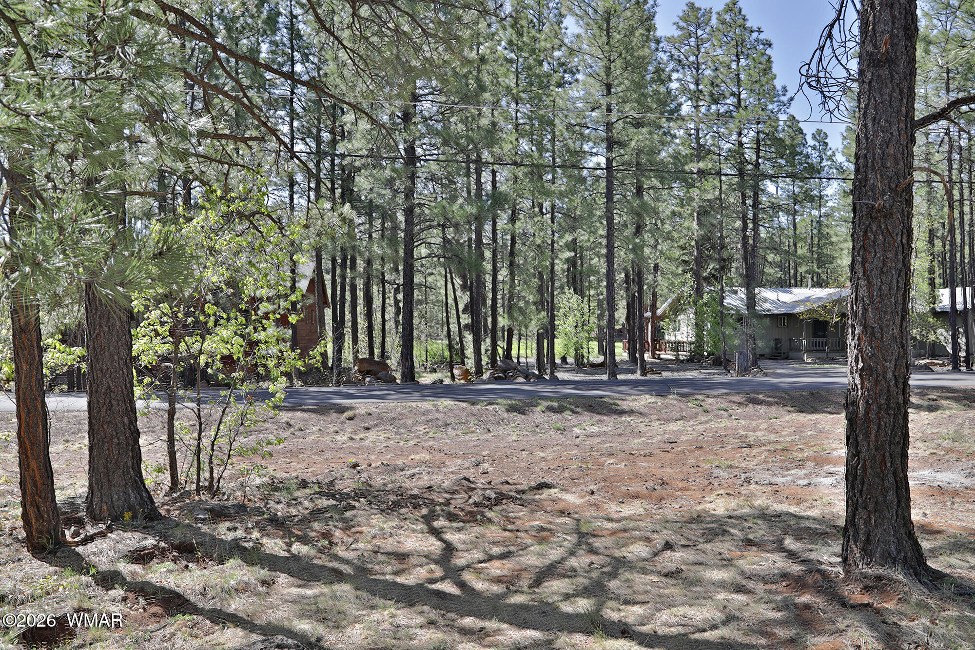 7466 Buck Springs Road Pinetop, AZ 85935 - Photo 4 of 6 a view of a forest with trees