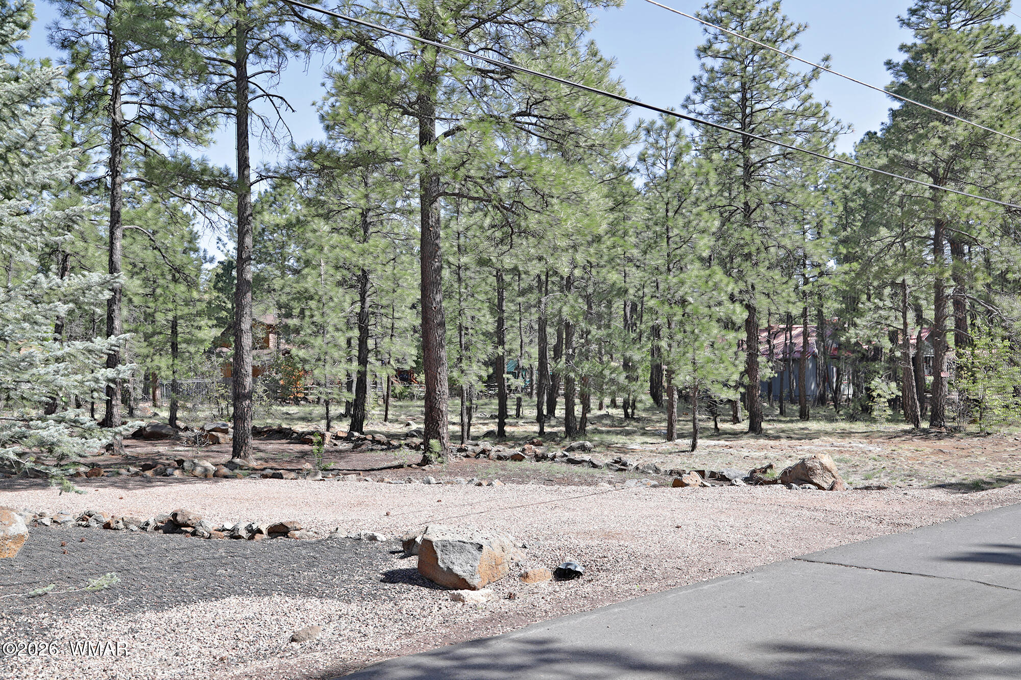 7466 Buck Springs Road Pinetop, AZ 85935 - Photo 6 of 6 a view of road with snow on the road