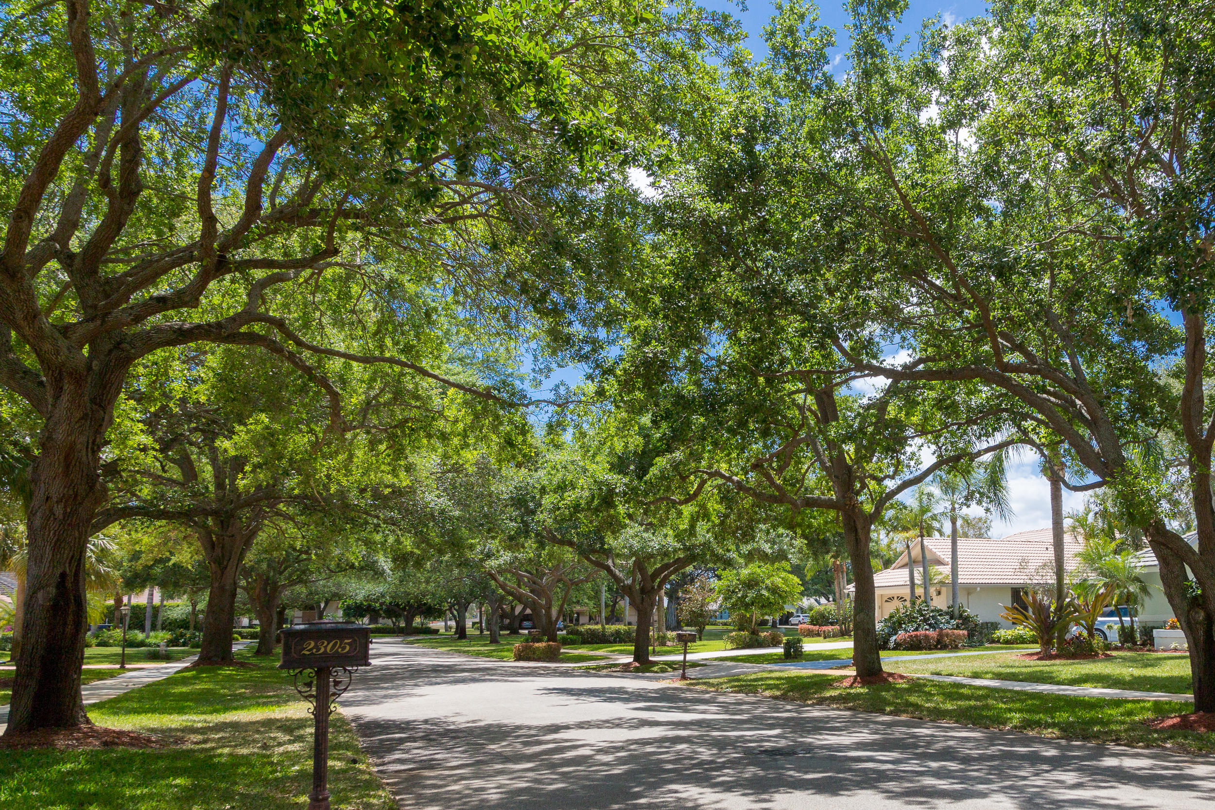 2330 Rabbit Hollowe Circle Delray Beach, FL 33445 - Photo 6 of 39 Beautiful Tree Lined Wide Streets