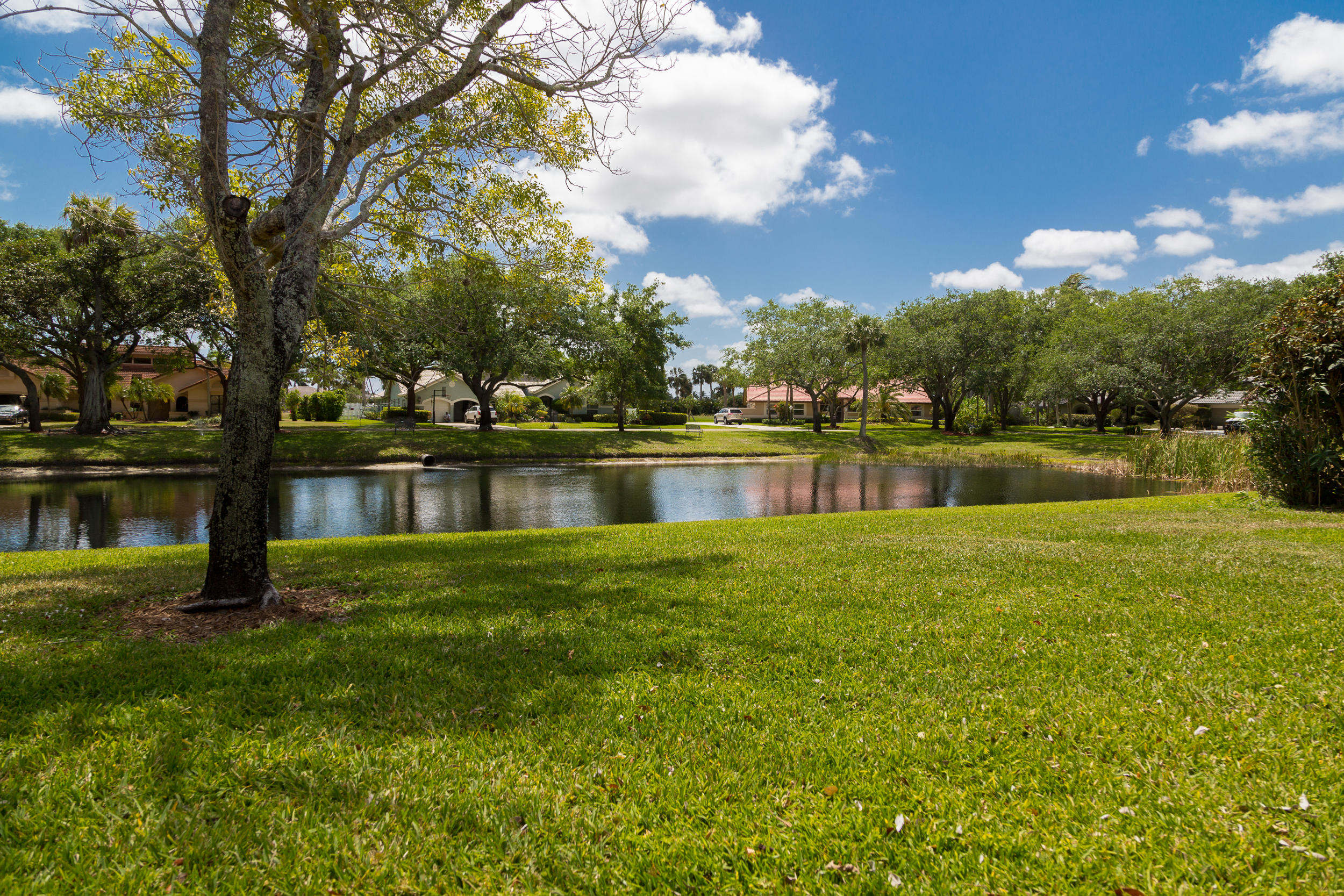 2330 Rabbit Hollowe Circle Delray Beach, FL 33445 - Photo 10 of 39 Your views from the house!