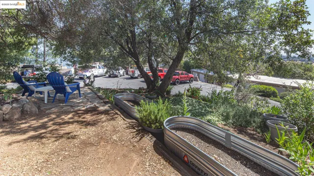a view of a balcony with chairs potted plants and large tree