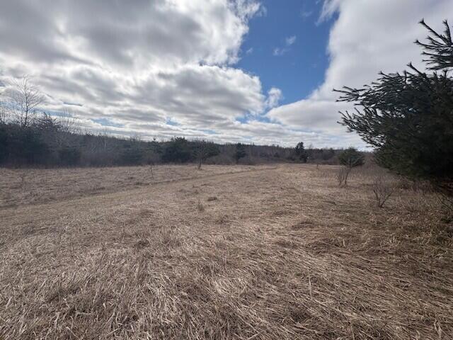 4 4 Mile Road Evart, MI 49631 - Photo 19 of 30