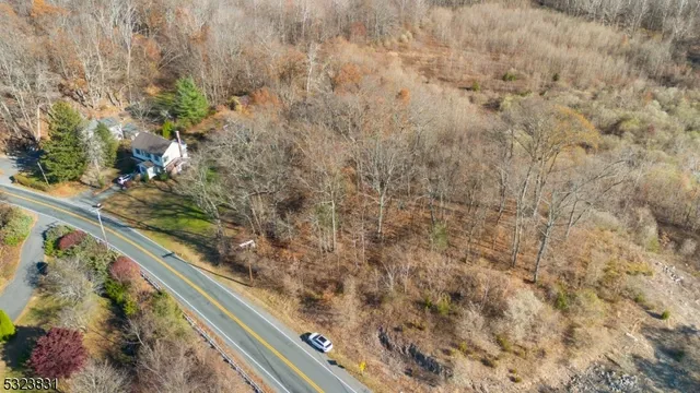 a view of a dry yard with green space