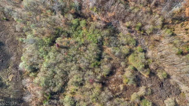 a view of small yard and trees