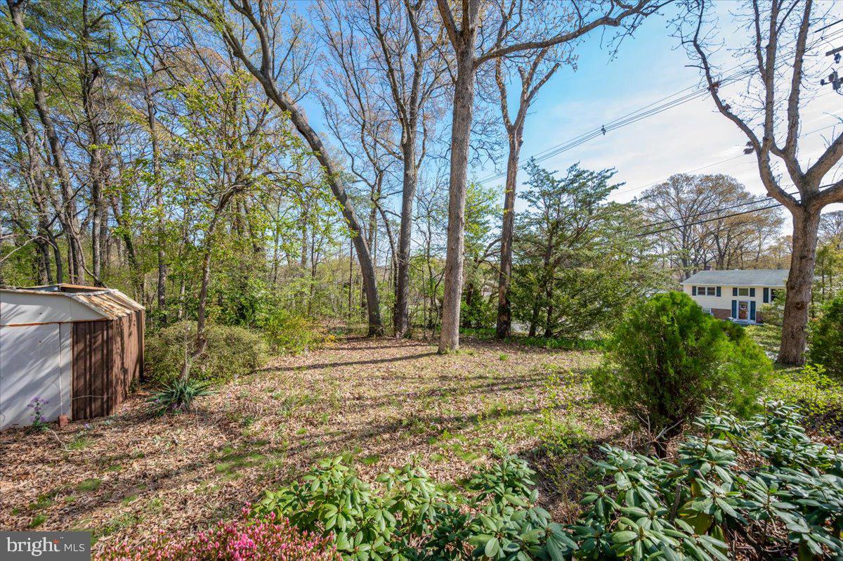 1300 Holliben Road Severna Park, MD 21146 - Photo 53 of 69 a view of a yard with plants and trees