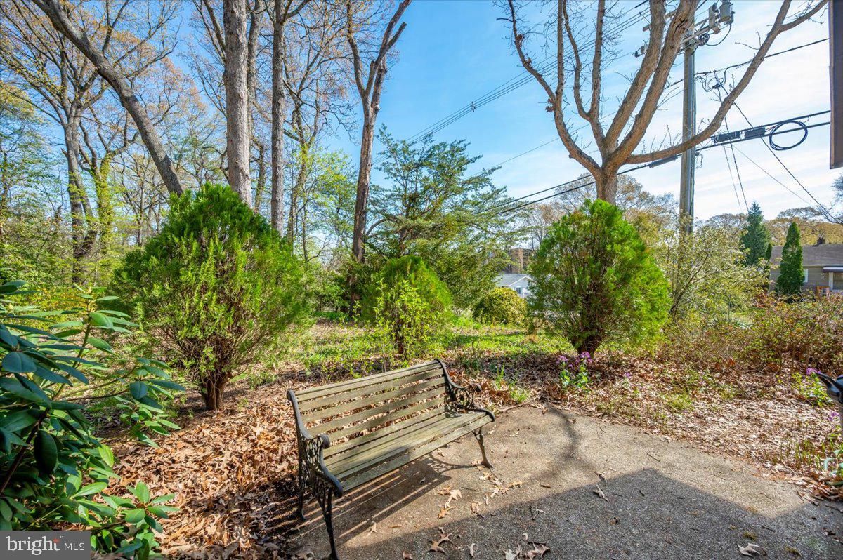 1300 Holliben Road Severna Park, MD 21146 - Photo 56 of 69 a view of a yard with plants and trees