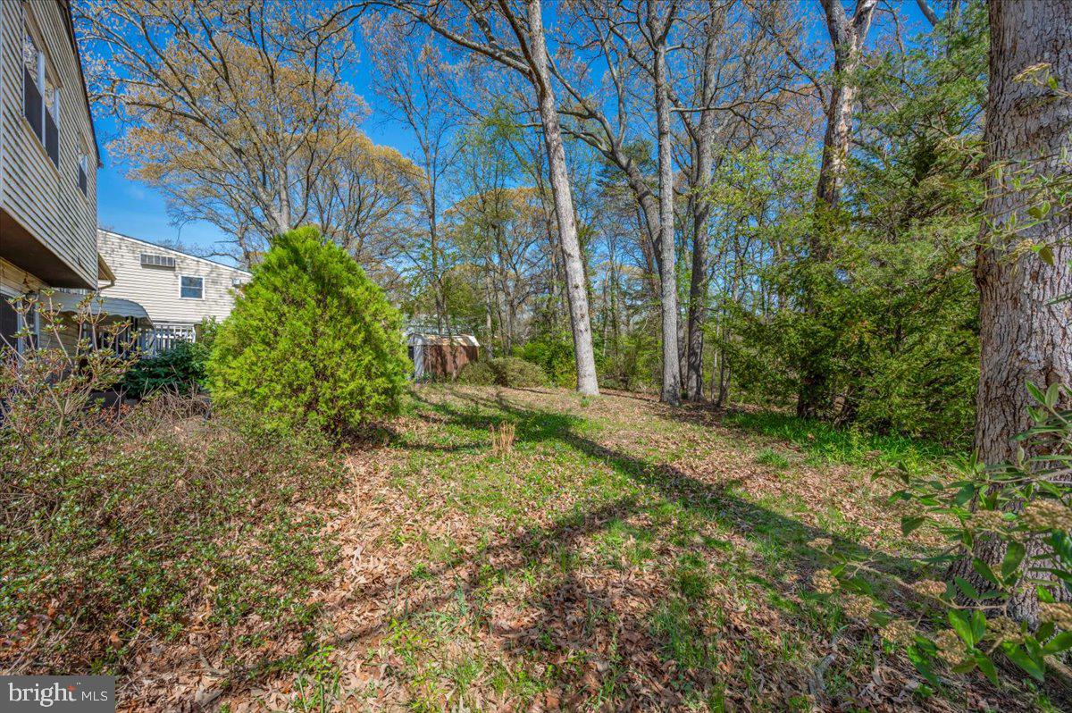 1300 Holliben Road Severna Park, MD 21146 - Photo 57 of 69 a view of a yard with plants and trees