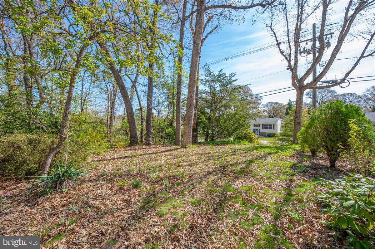 1300 Holliben Road Severna Park, MD 21146 - Photo 62 of 69