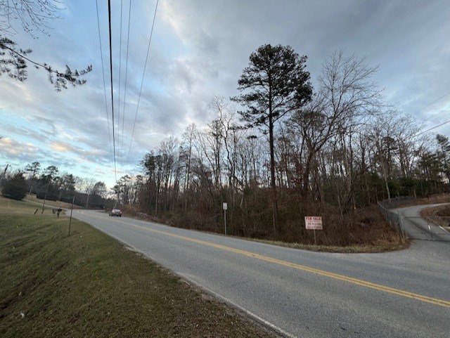 .85-ac East 1st Street Blue Ridge, GA 30513 - Photo 6 of 8