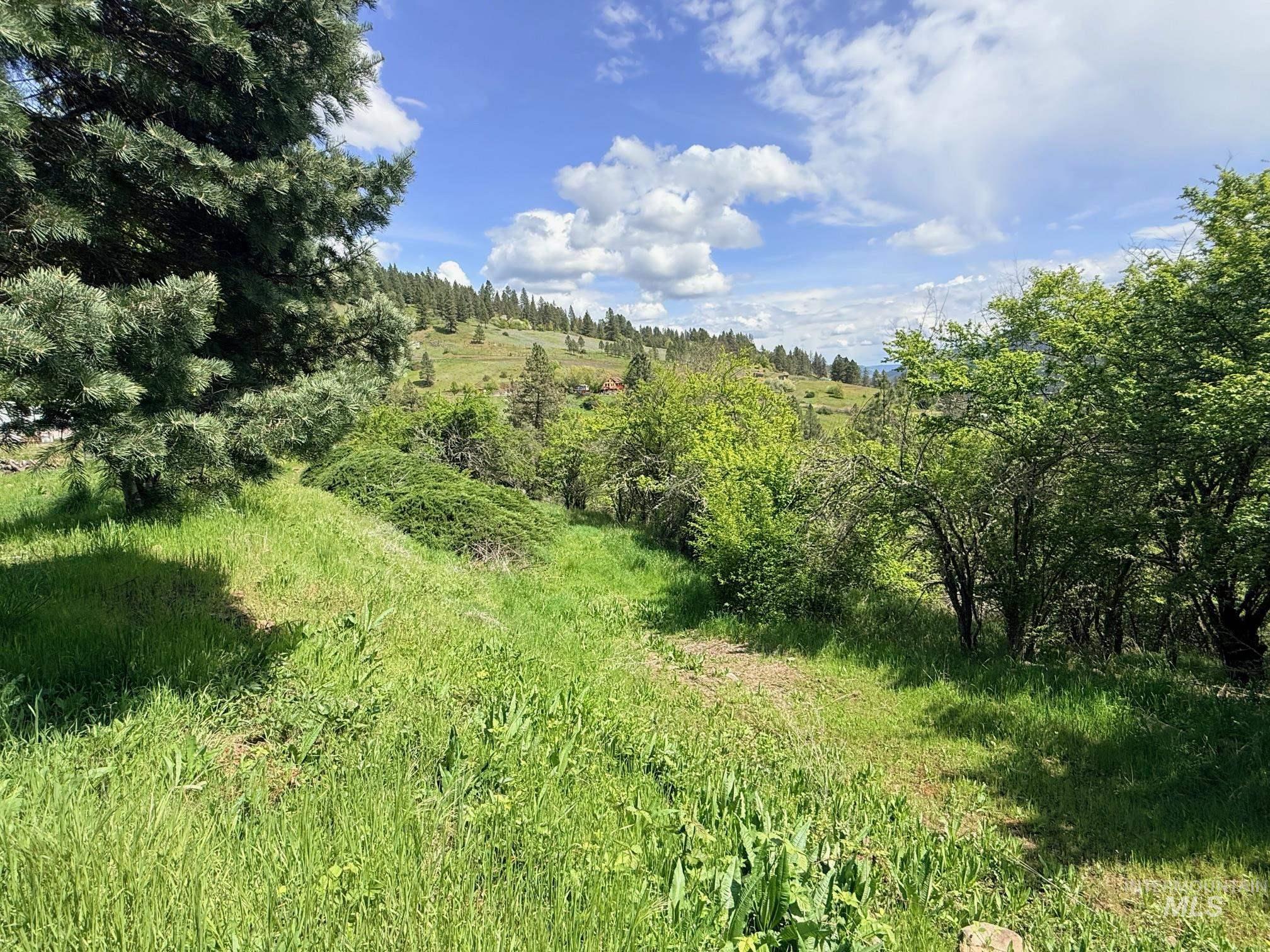 620 Old Peck Grade Lenore, ID 83541 - Photo 23 of 45