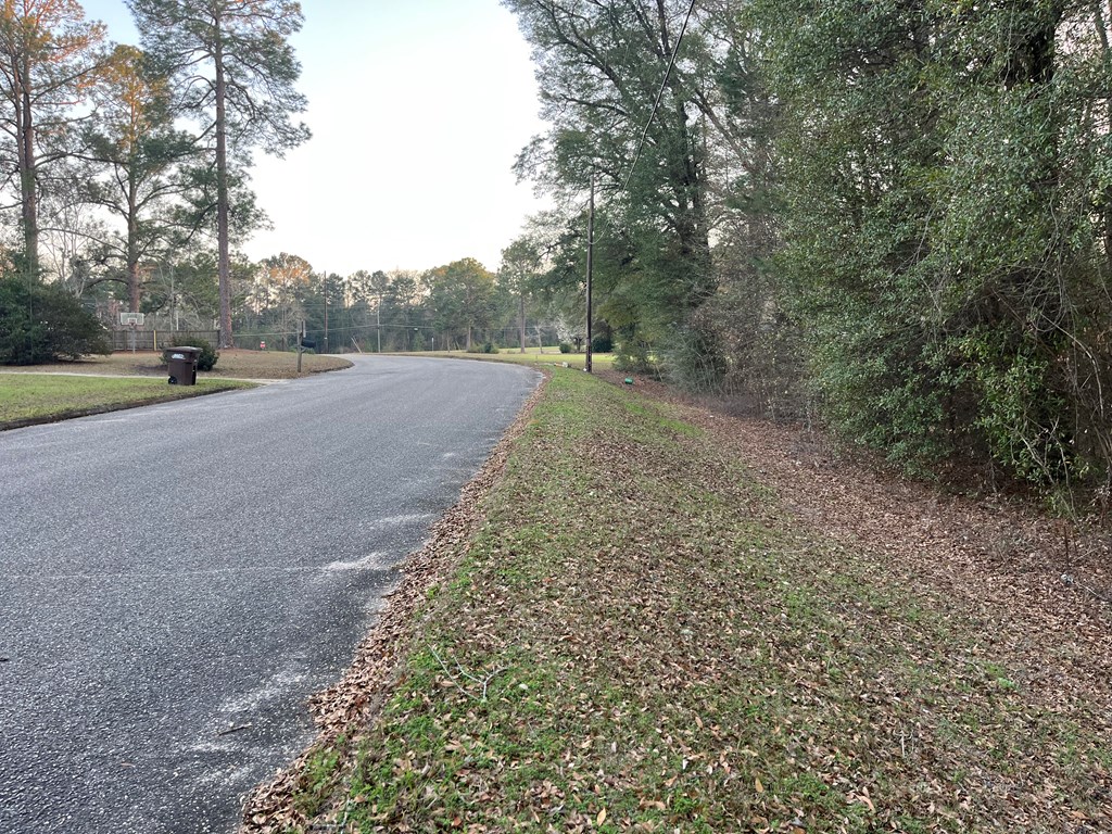 Tbd Christopher Drive Abbeville, AL 36310 - Photo 2 of 2