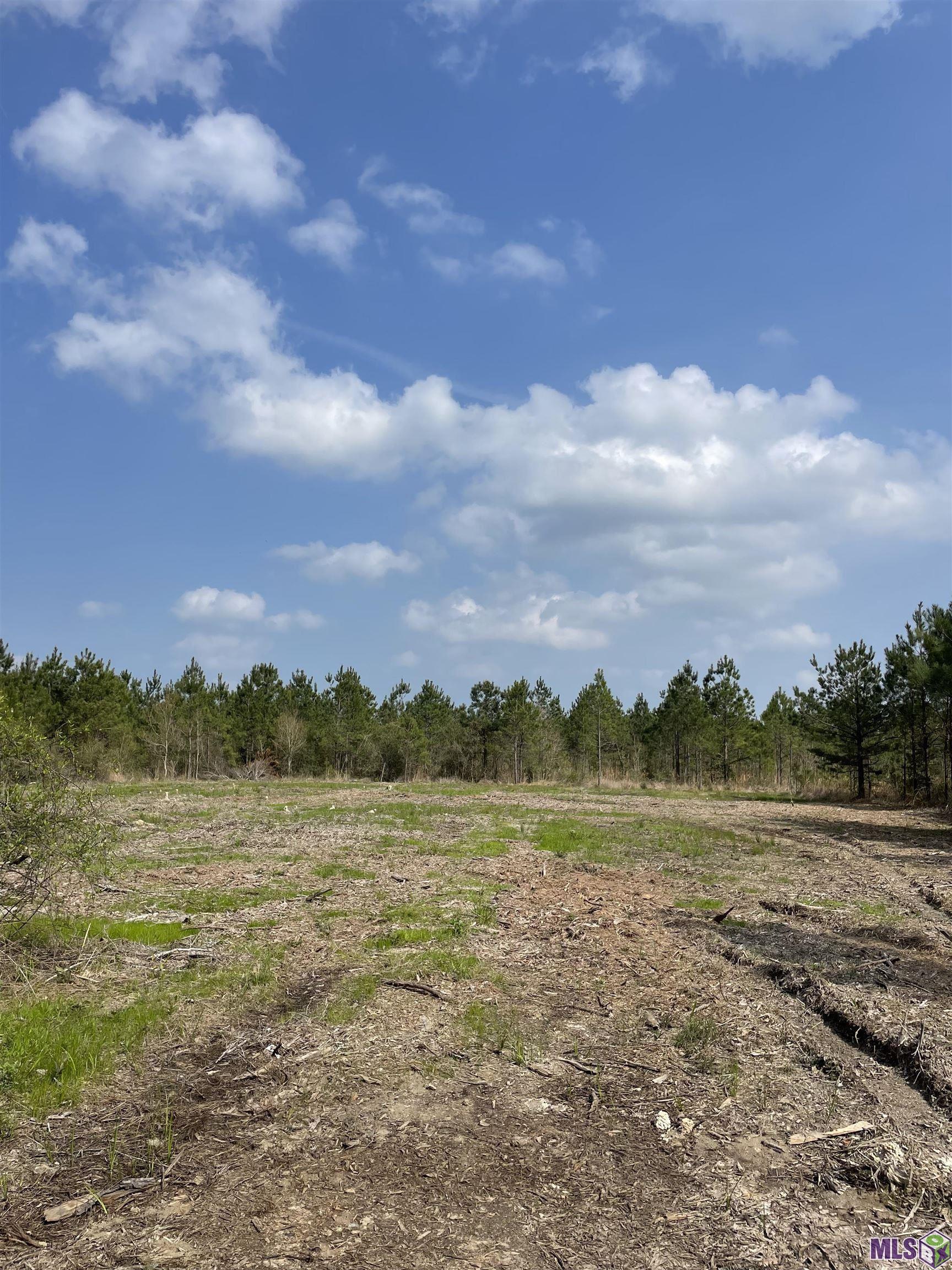 13 Lorin Wall Road Holden, LA 70744 - Photo 3 of 5