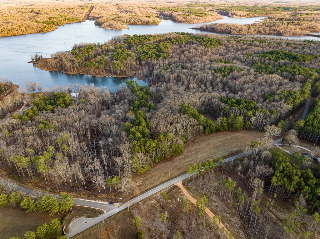 0 Stately Oak Drive Huntingdon, TN 38344 - Photo 3 of 9 a view of a lake from a yard