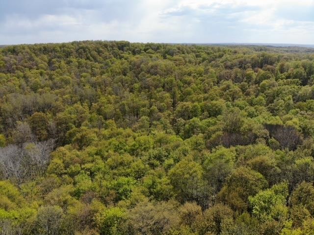 234 Swamp Rd Rapid Rapid City, MI 49676 - Photo 12 of 15