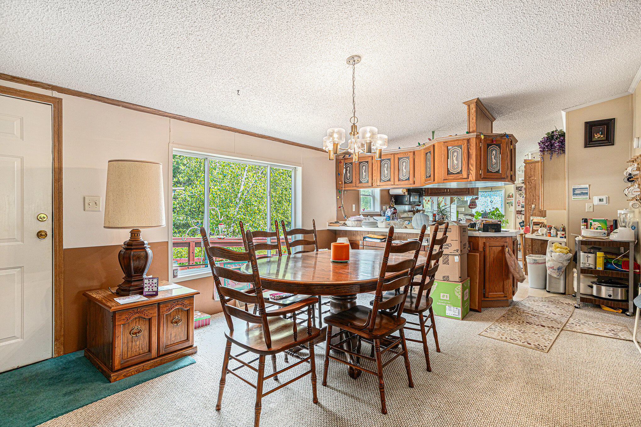 405 West Osborne Road Delton, MI 49046 - Photo 5 of 16 005__90a5511_53