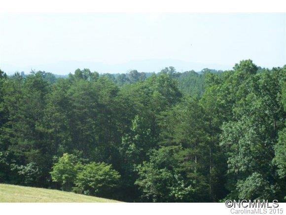 0 Sandy Plains Road Columbus, NC 28722 - Photo 3 of 12