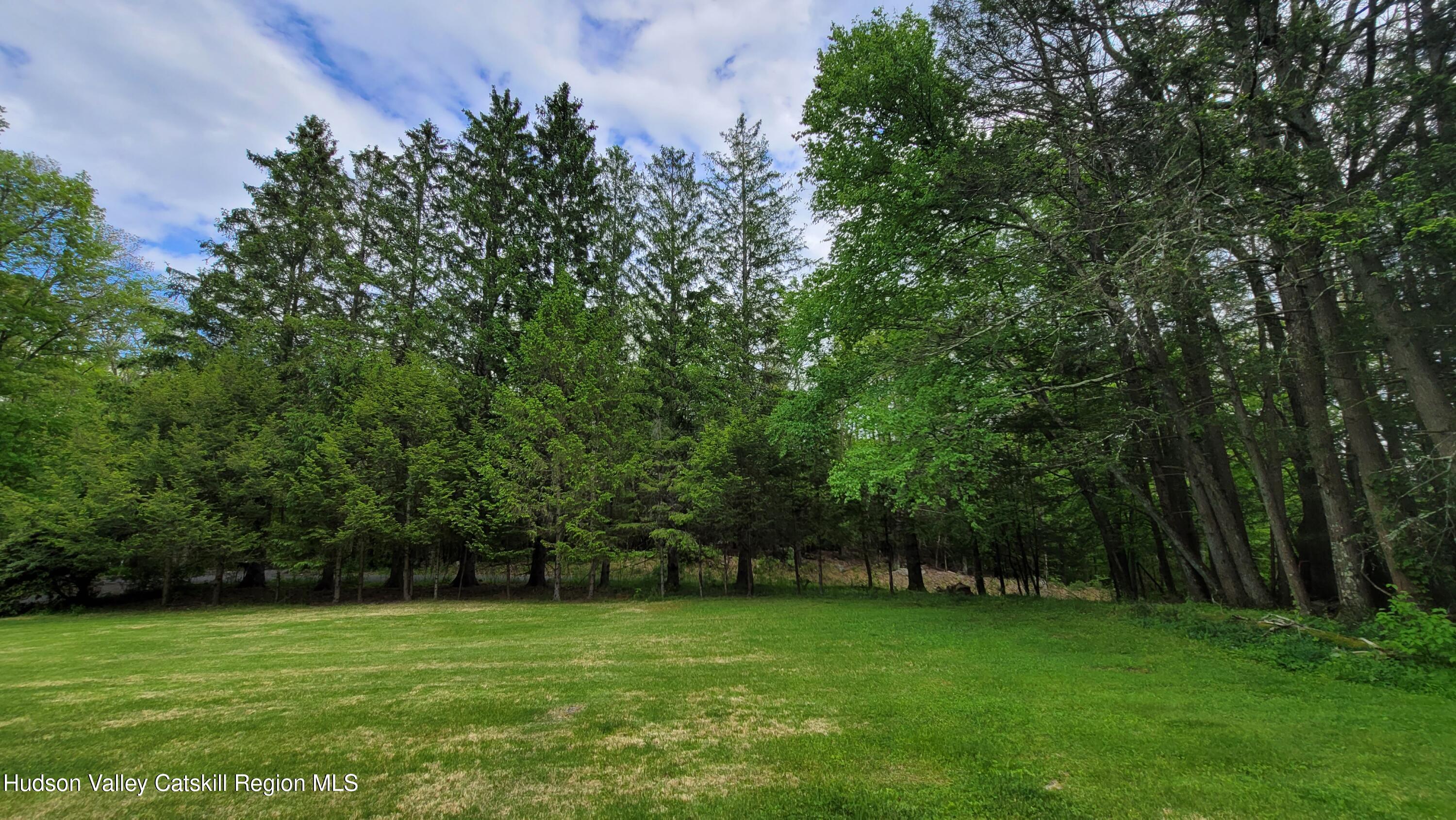 97 Ruby Road Kingston, NY 12401 - Photo 8 of 25 a view of a green field