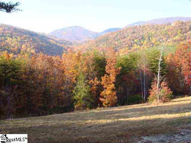 Lot 8 Oak Grove Road Landrum, SC 29356 - Photo 1 of 1 Gallery Image 1