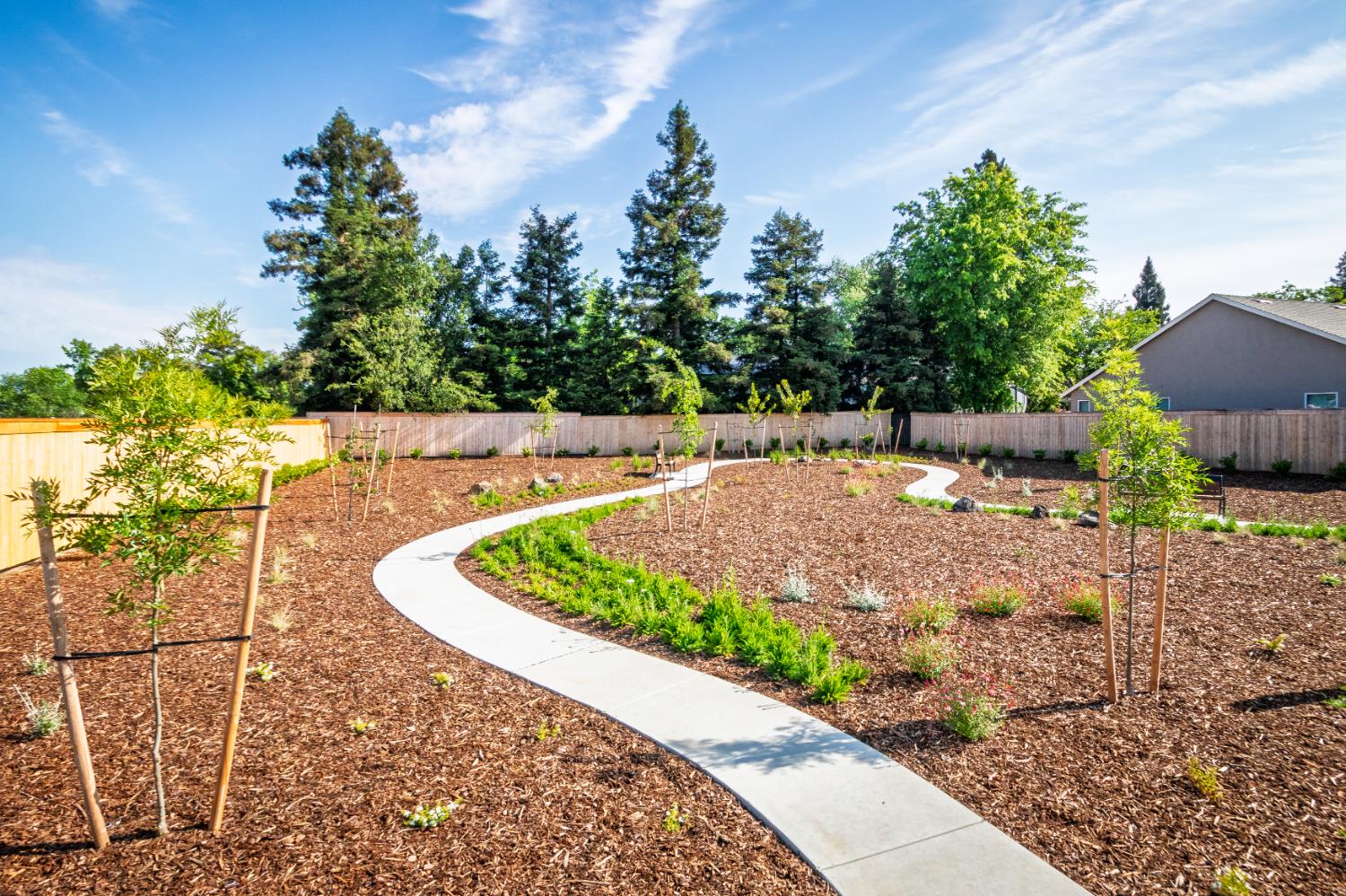 8217 Caminata Lane Carmichael, CA 95608 - Photo 5 of 9 a view of a backyard with sitting area