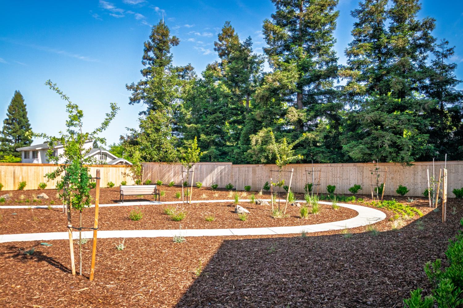 8217 Caminata Lane Carmichael, CA 95608 - Photo 6 of 9 a view of a backyard with table and chairs with wooden fence