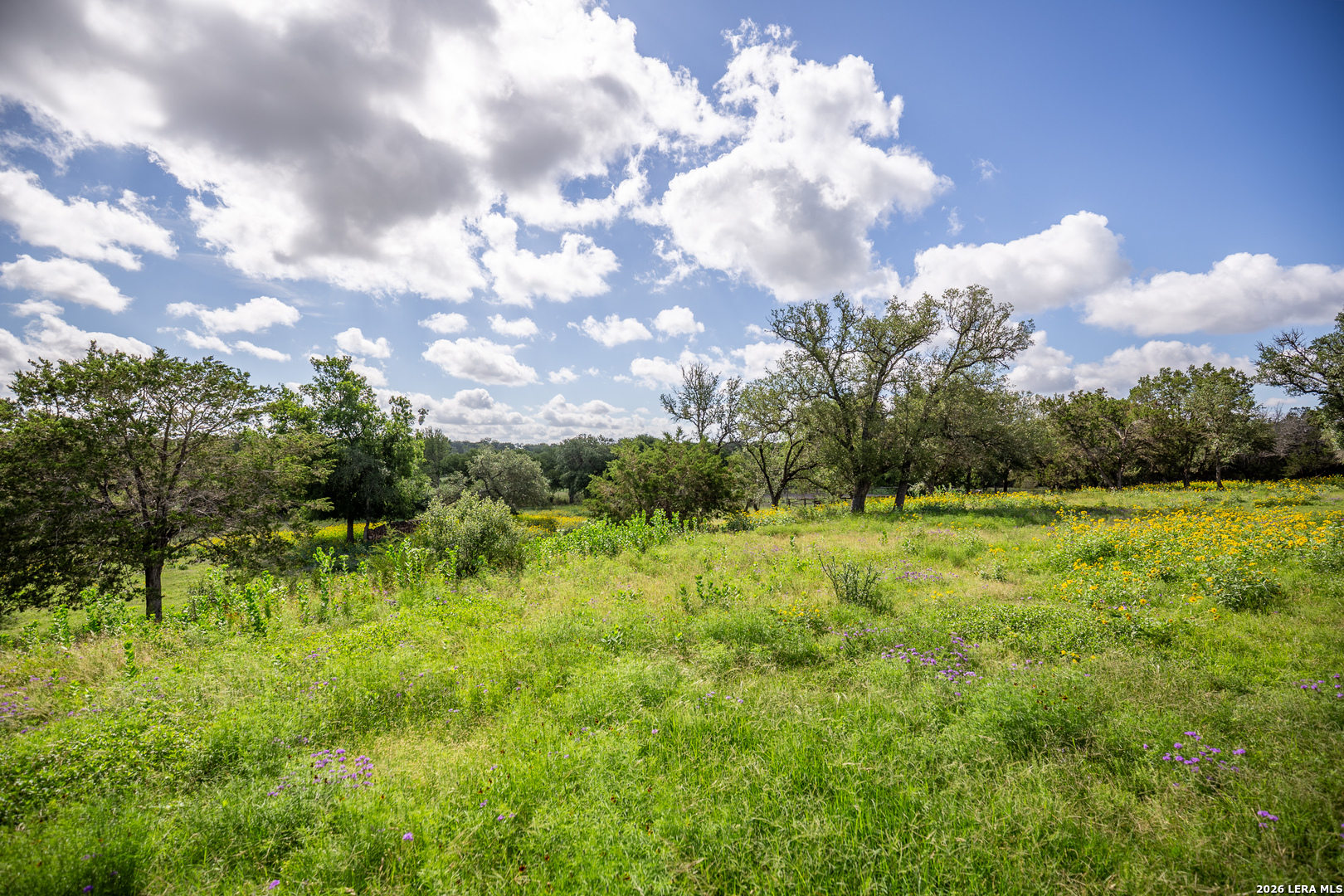 395 Bluff Creek Road North Center Point, TX 78010 - Photo 30 of 55 Gallery Image 30