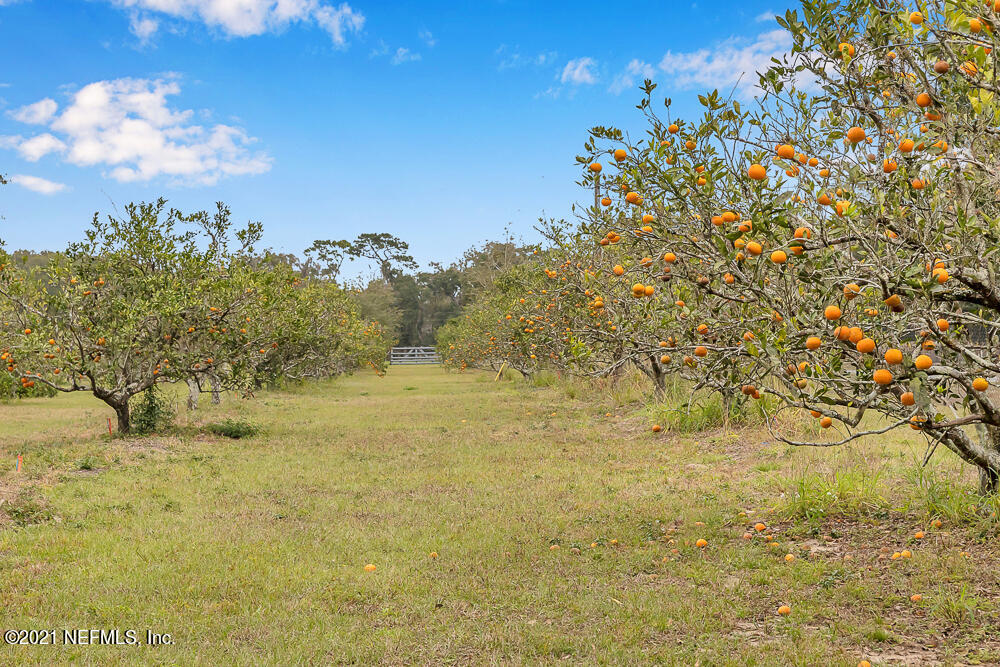 443 Georgetown Shortcut Road Crescent City, FL 32112 - Photo 44 of 60 42